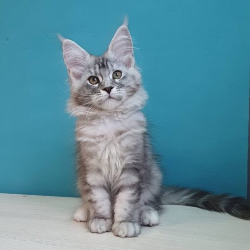 PERLA